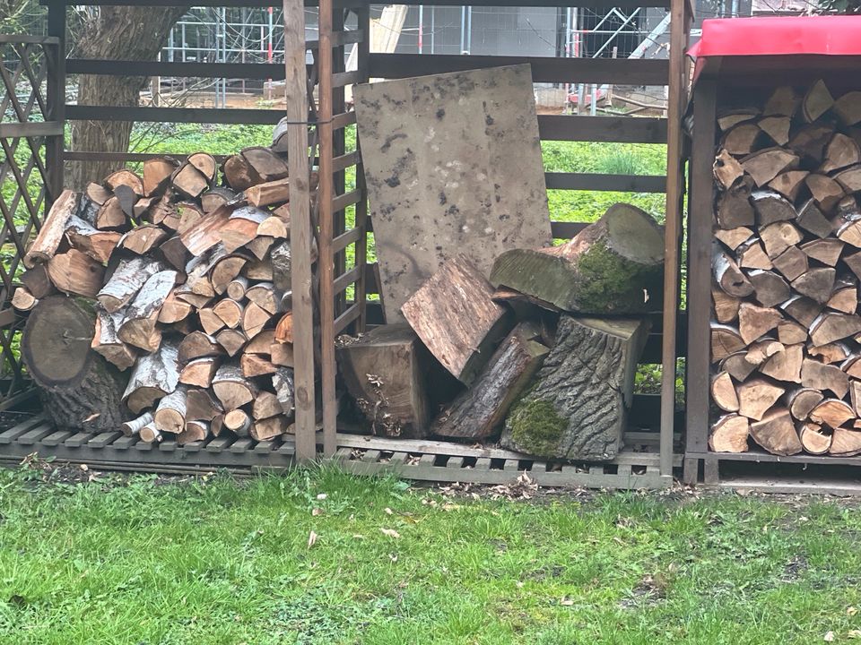 Baumstämme für Brennholz und/ oder Brennholzlager in Waltrop