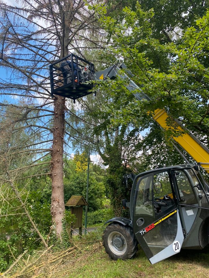 Hydraulischer Schlegelmulcher für Radlader mieten Baumaschinen in Springe