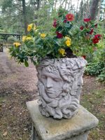Skulptur.  Blumentopf,  4 Gesichter Niedersachsen - Schwarmstedt Vorschau