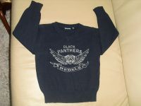 w. neu Schöner Frühling Pullover Gr. 98 Hamburg-Mitte - Hamburg Billstedt   Vorschau