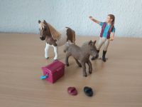 Schleich 42362 Pferdepflegering mit Shettys Ponys Sachsen-Anhalt - Elbe-Parey Vorschau