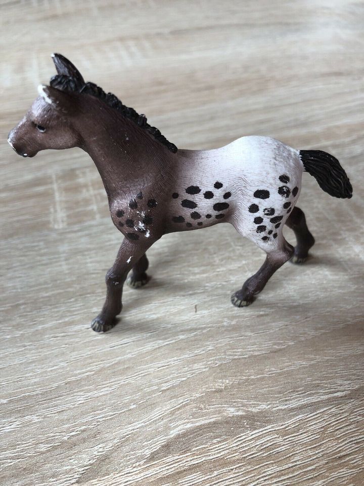 Schleich „ Appalosa Fohlen „ in Niederaula