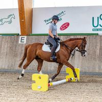 AGILITY CAVALETTI BLOCK,Agility Puzzle Stange, Agility Puzzle Ver Baden-Württemberg - Bitz Vorschau