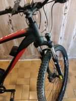 Elektro Fahrrad Fischer 27,5 zoll Nordrhein-Westfalen - Castrop-Rauxel Vorschau