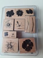 Stampin up Stempel Stempelset  Greenhouse Garden Blüten Hibiskus Baden-Württemberg - Heilbronn Vorschau