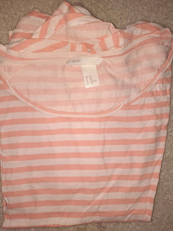 7 neuwertige T-Shirt Gr. XL  H&M  Basics Sommer in Nordhausen