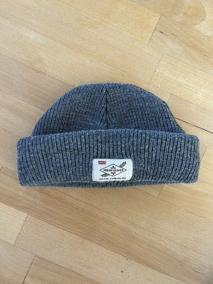 Fresh leaves beanie new arrivals