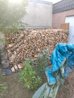 Trockenes Kaminholz SRM 95 € FP  incl. Anlieferung mögl. s. Text Nordrhein-Westfalen - Herten Vorschau