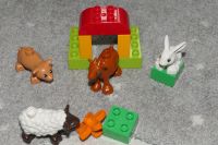 Lego 10522 Lego Duplo - Bauernhof-Tiere Dresden - Blasewitz Vorschau