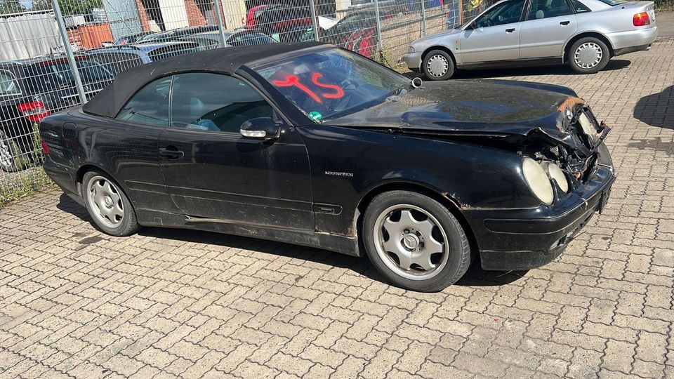 Schlachtfest - Mercedes CLK C208 Festnetz ‼️ Nummer anrufen ‼️ in Stadthagen