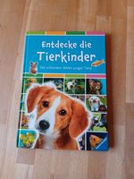 Entdecke die Tierkinder Niedersachsen - Oldenburg Vorschau