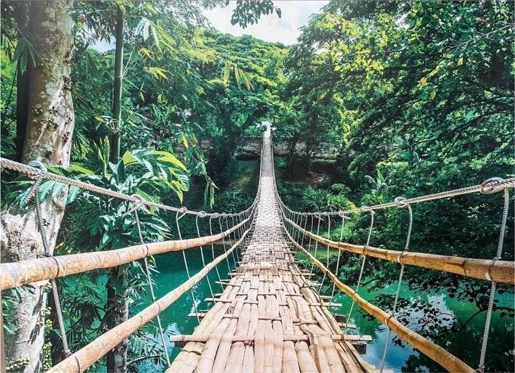 XXL LeinWandbild „Jungle Bridge“, Dschungel Brücke, 140x100 cm in Bottrop