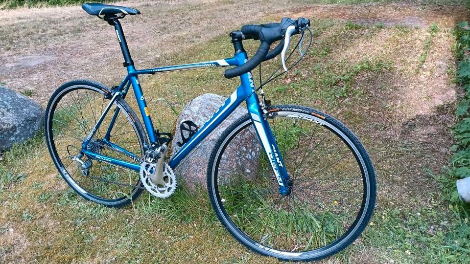 Gravel/Rennrad Giant defy in Küsten