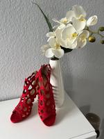 Ausgefallener High Heel Nordrhein-Westfalen - Paderborn Vorschau