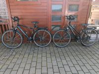 2 Trekking Fahrräder Torpedo Platinum Niedersachsen - Meine Vorschau
