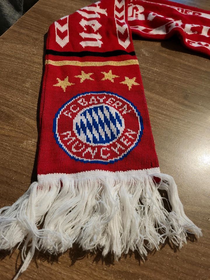 FC Bayern Schal in Olching
