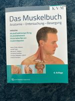 Muskelwachstum für Anatomie und Behandlung Köln - Mülheim Vorschau