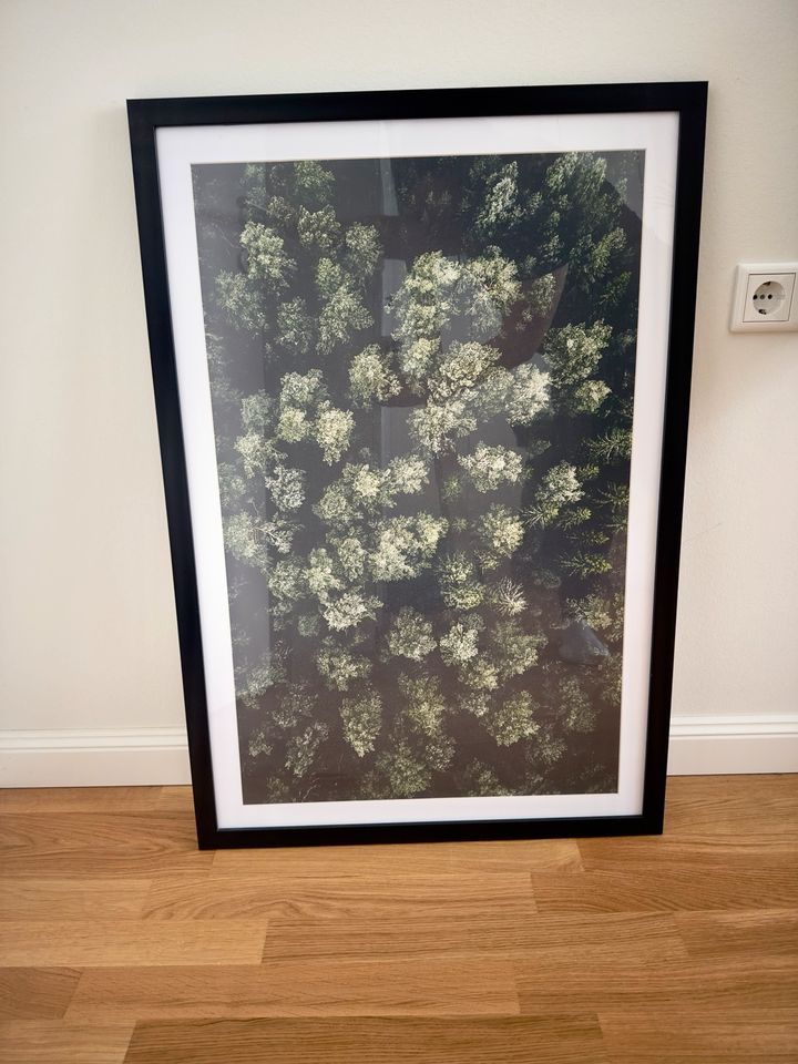 Großes Wandbild Wald inkl. Bilderrahmen Holz schwarz 65x95cm in Radebeul