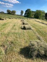 Heu in kleinen Bunden Sachsen-Anhalt - Burg Vorschau