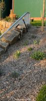 Gartenmulch, Beetabdeckung Niedersachsen - Landesbergen Vorschau