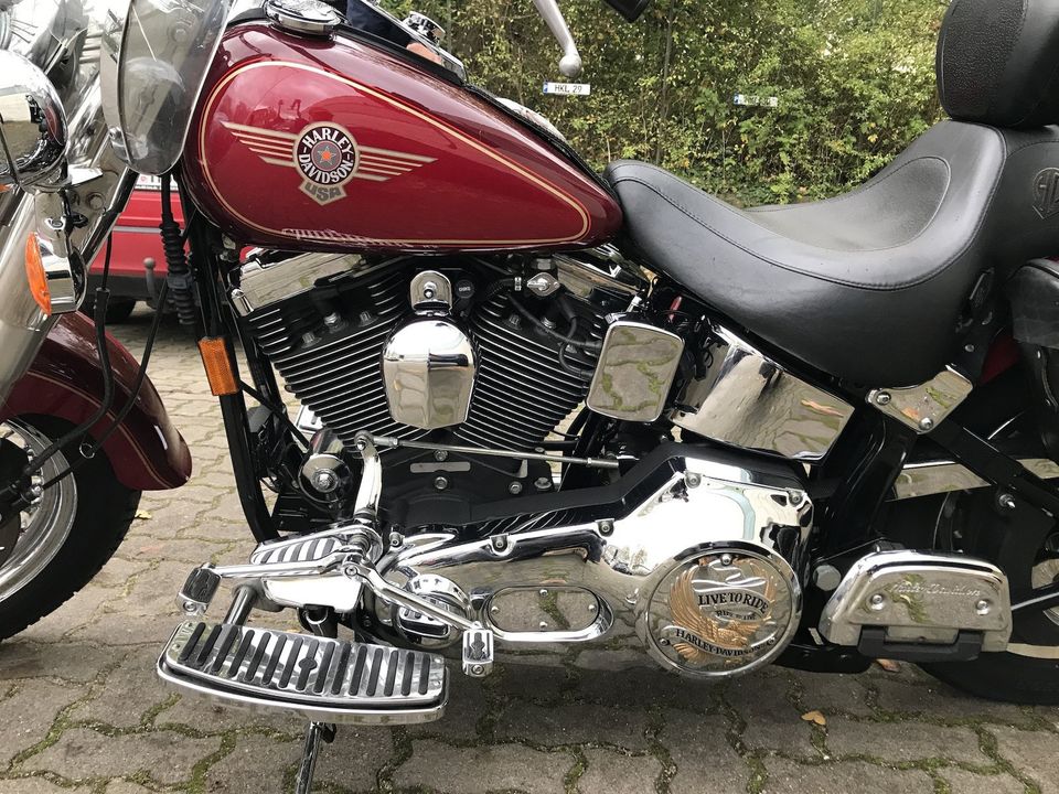 Harley Davidson Fat Boy FXST in Hamburg