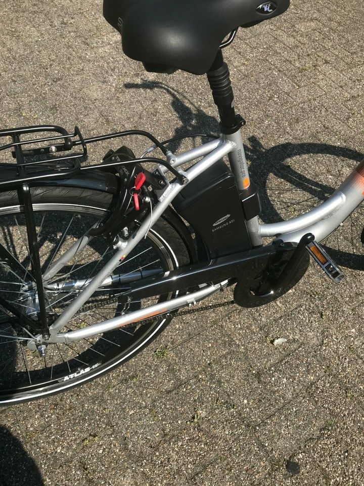 E-Bike  Prophete Navigator Pro Sonderposten Neu in Ostrhauderfehn