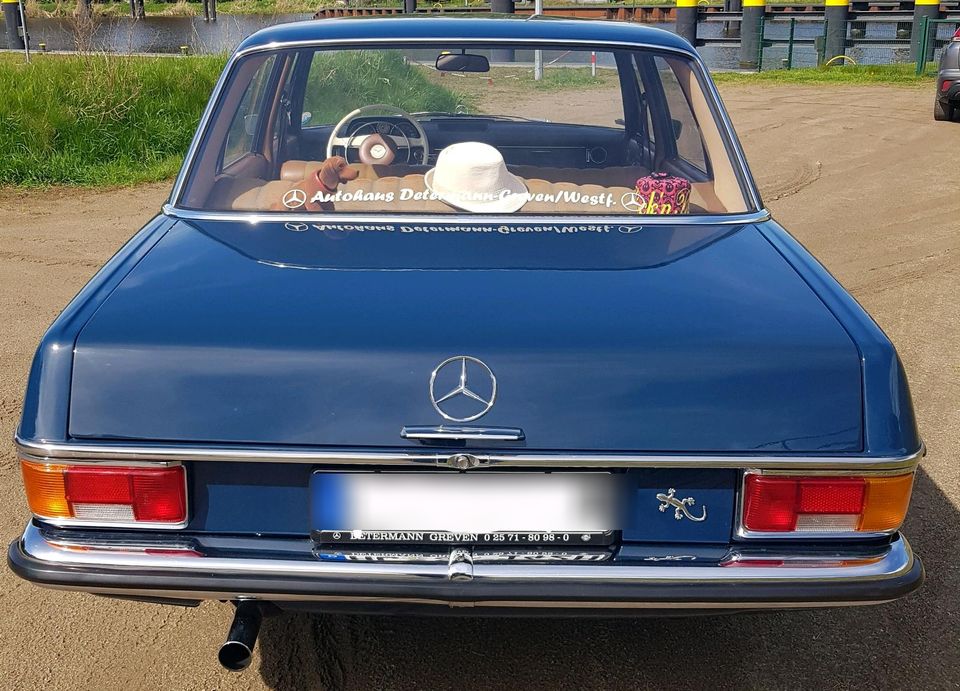 Mercedes Strich 8 Oldtimer in Lübeck