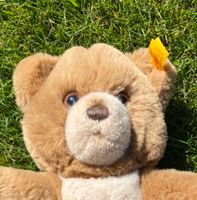 Steiff Teddybär 28 cm neu - das Original mit Knopf im Ohr Niedersachsen - Bersenbrück Vorschau