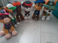 ☆Paw Patrol Kuscheltier Plüsch mit Etikett unbespielt Chase Skye☆ Duisburg - Duisburg-Süd Vorschau