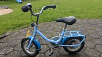 Puky Fahrrad 12 Zoll blau Nordrhein-Westfalen - Bad Salzuflen Vorschau