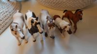 Schleich Pferd Baden-Württemberg - Ulm Vorschau