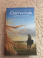 Ostwind, Aufbruch nach Ora Dithmarschen - Brunsbuettel Vorschau