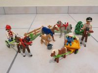 Playmobil Pferde, Reiterin, Trabrennpferd, Koppel, Ponywagen Bayern - Aschaffenburg Vorschau