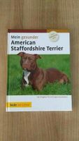 American Staffordshire Terrier Rheinland-Pfalz - Neuwied Vorschau