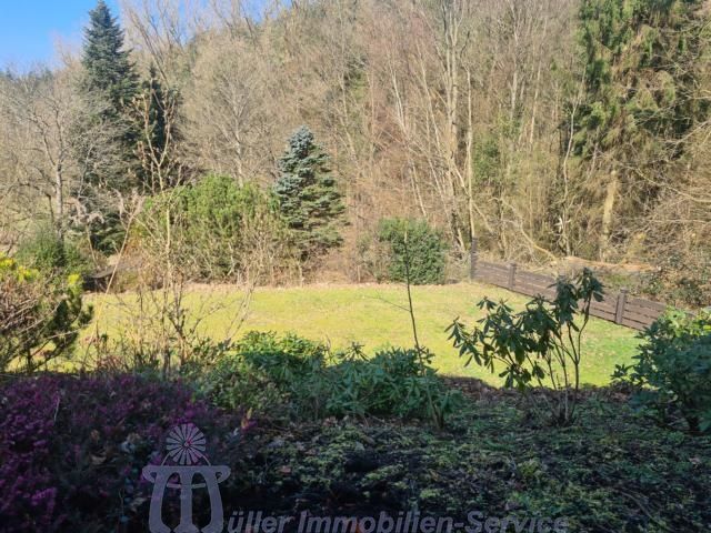 Schöne Landhaus-Villa in unverbaubarer Orts- und Waldrandlage von Homburg in Homburg