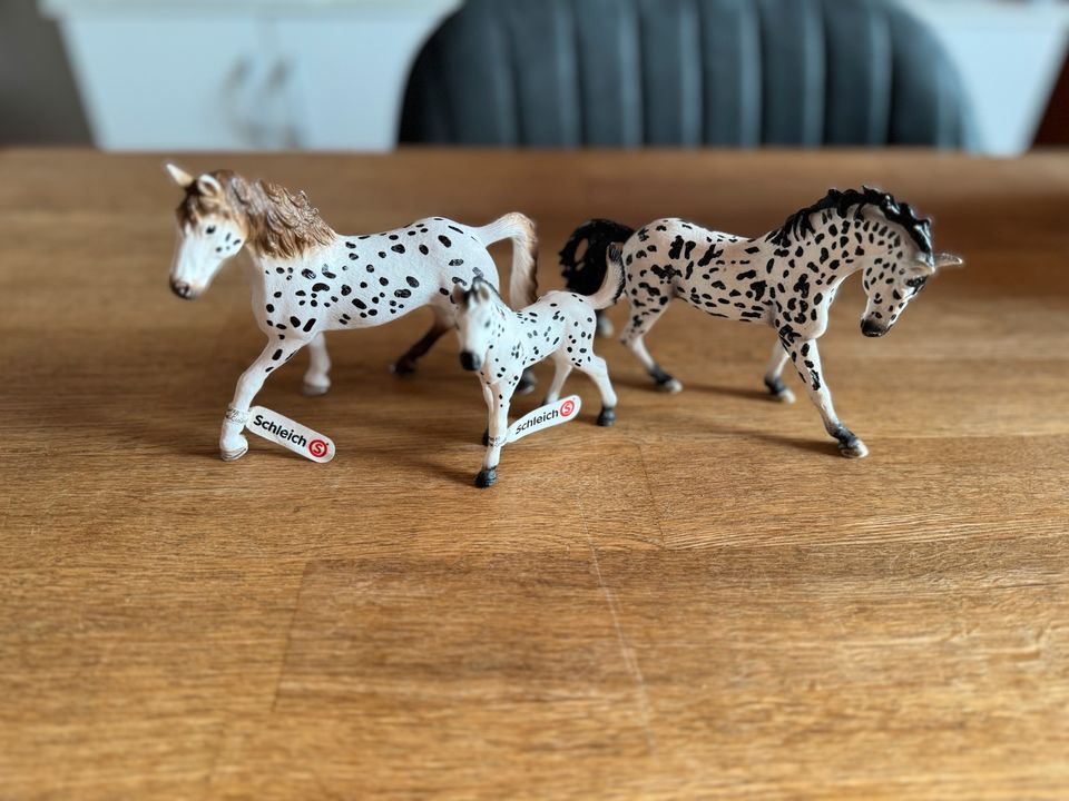 SCHLEICH Pferde „Mutter, Vater, Kind“ in Südbrookmerland