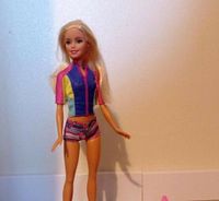 Barbie mit Delfin, Hund und Surfbrett Nordrhein-Westfalen - Rietberg Vorschau