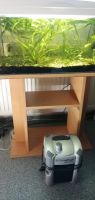 Aquarium 60cm, 54l mit Abdeckung Licht, Heizer, Luftpumpe Sachsen - Bautzen Vorschau