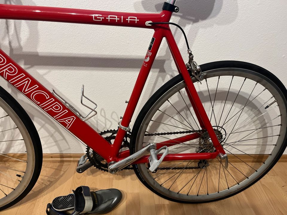 Rennrad Principia 26“ in Donauwörth