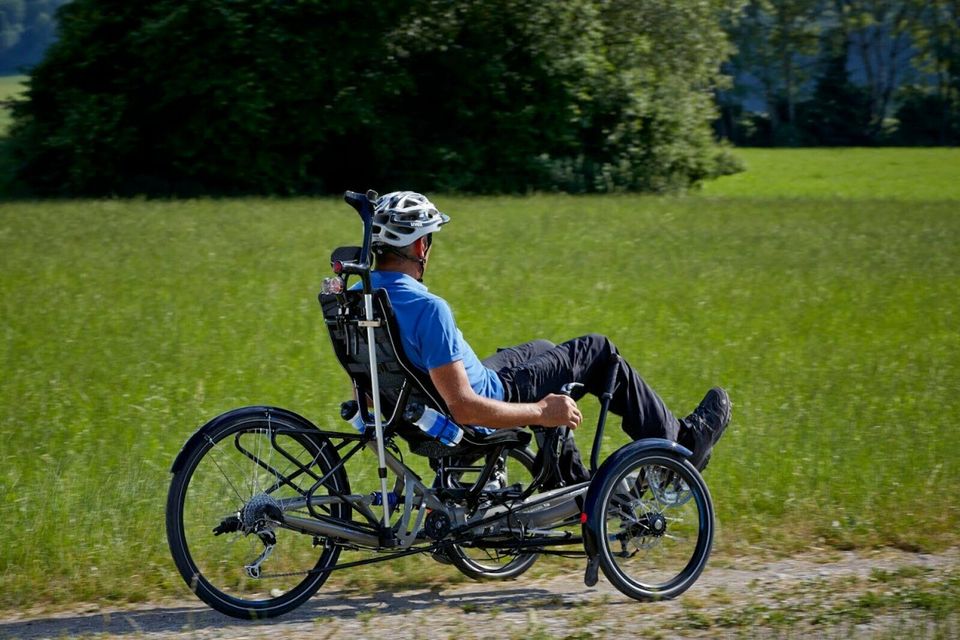 HP Scorpion plus 26 Pedelec SE - Liegerad / Liegedreirad / Trike in Detmold