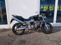 Honda CB 600 F Hornet Bayern - Ansbach Vorschau