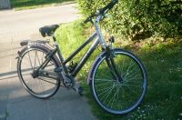 28 zoll damenfahrrad zu verkaufen Herzogtum Lauenburg - Lauenburg Vorschau