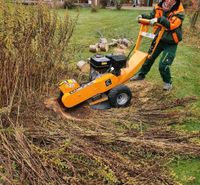 Stubbenfräsen / Wurzel entfernen Brandenburg - Fehrbellin Vorschau