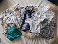 Body Set Sommer Baby Niedersachsen - Wallenhorst Vorschau