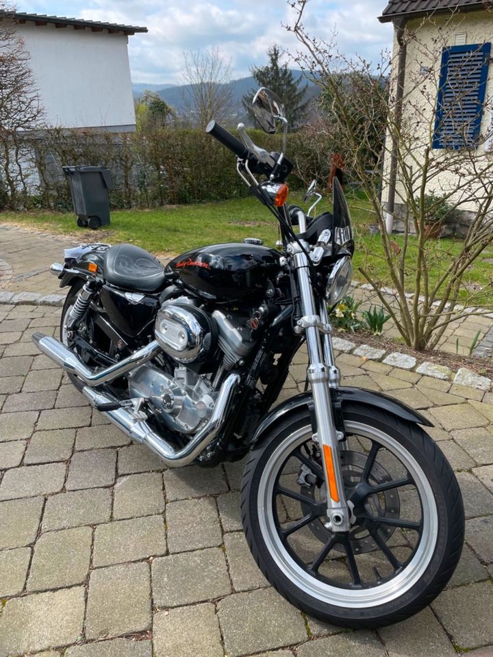 Harley Davidson Sportster 883 XL SuperLow in Arnsberg