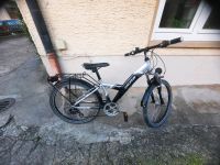 Fahrrad 24 Zoll Rheinland-Pfalz - Bad Bergzabern Vorschau