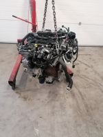 MOTOR T9CE 2.0 TDCI BITURBO FORD KOMPLETT Nordrhein-Westfalen - Ratingen Vorschau