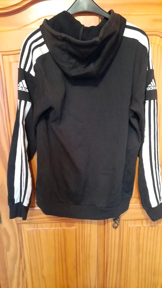 Herrenpulli Adidas in Rodewisch