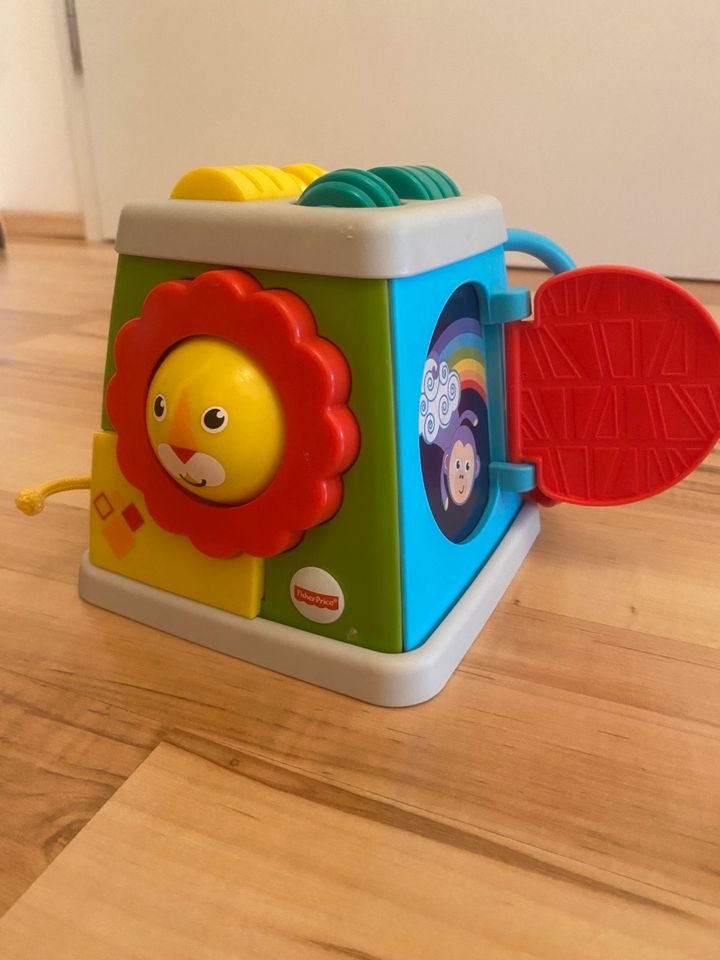 Fisher Price Safari Entdecker-Würfel in Markt Rettenbach