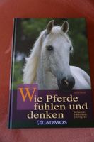 Wie Pferde fühlen und denken Rheinland-Pfalz - Niederburg Vorschau